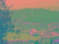 IMGP2693 edited (Medium)